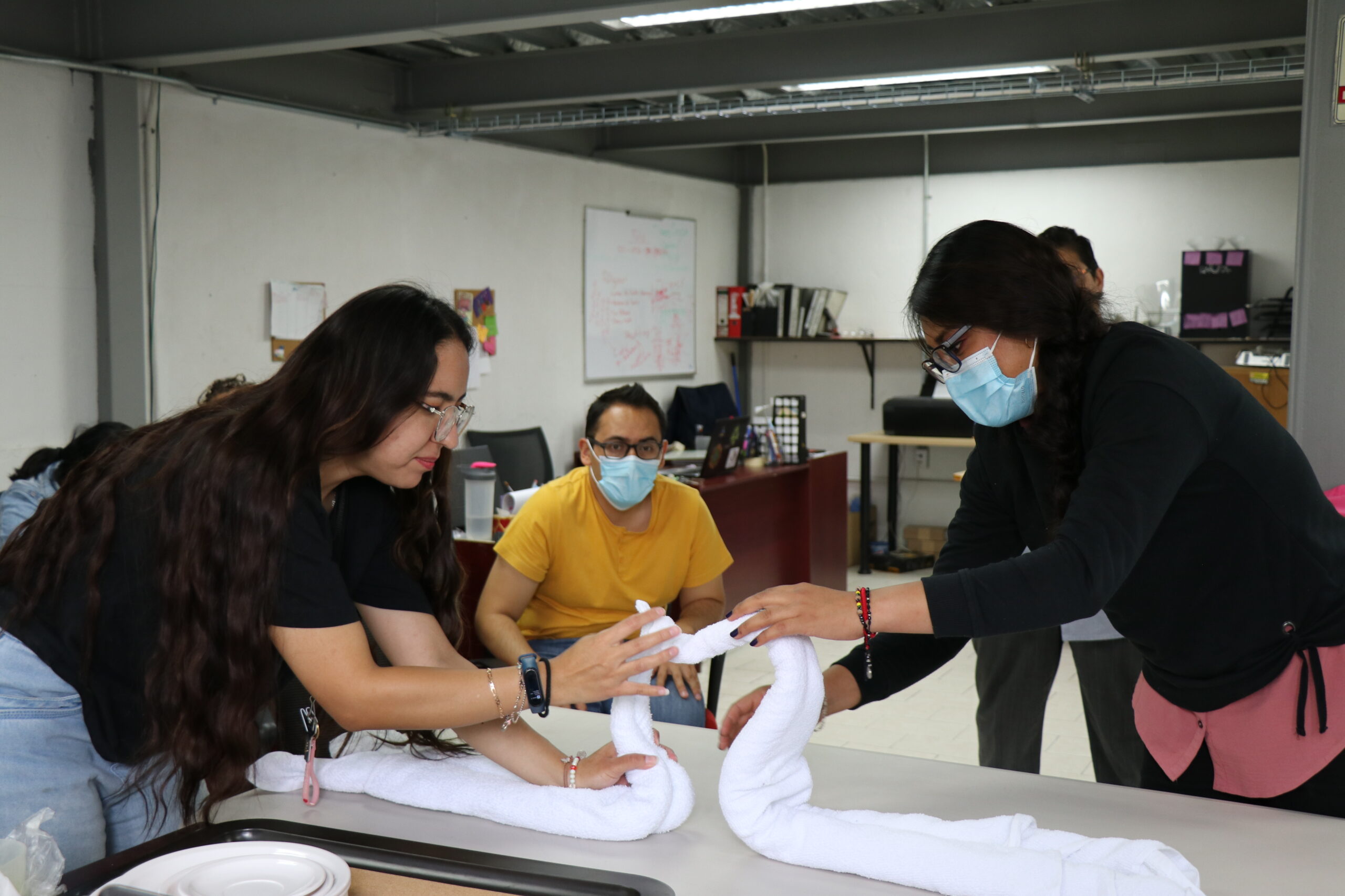 Proyecto CIMA impulsa la inserción laboral y empoderamiento de mujeres en Ciudad de México 